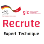 giz
