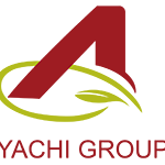 Ayachi Group