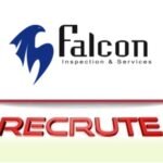 falcon