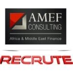 AMEF Consulting